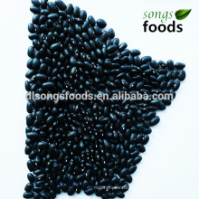 Wholesale China Importers, Black Kidney Bean